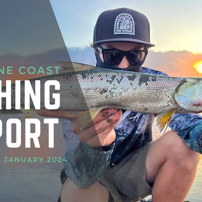 Sunshine Coast Fishing Report 