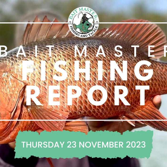 Sunshine Coast Fishing Report Thursday 16 November