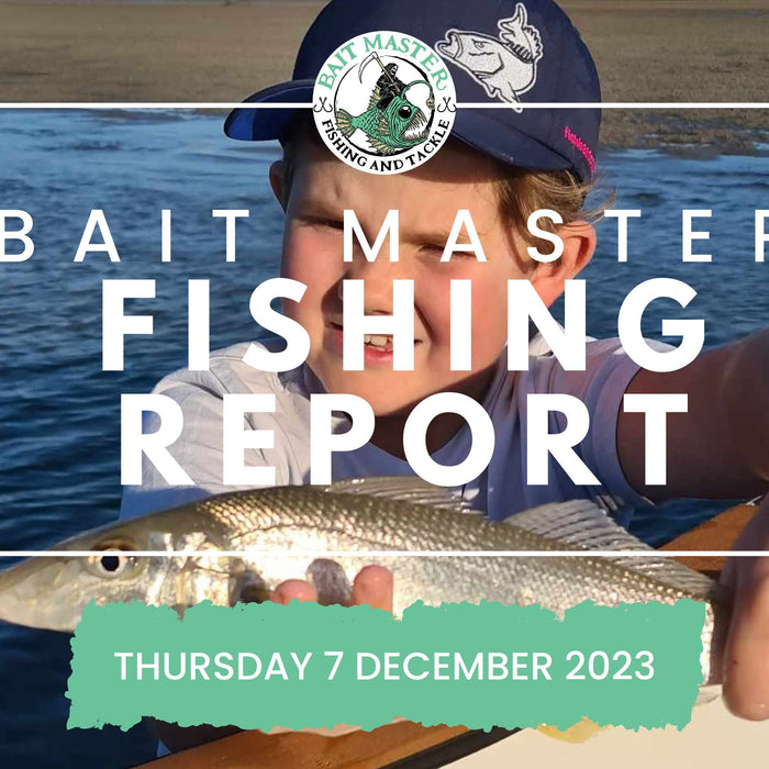 Sunshine Coast Fishing Report Thursday 7 November
