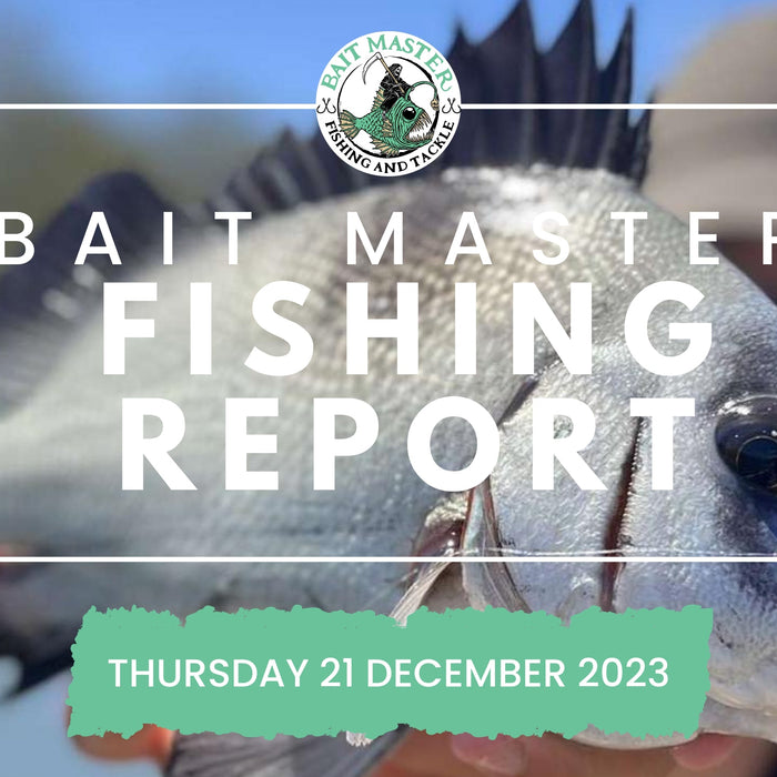 Sunshine Coast Fishing Report Thursday 14 December 2023