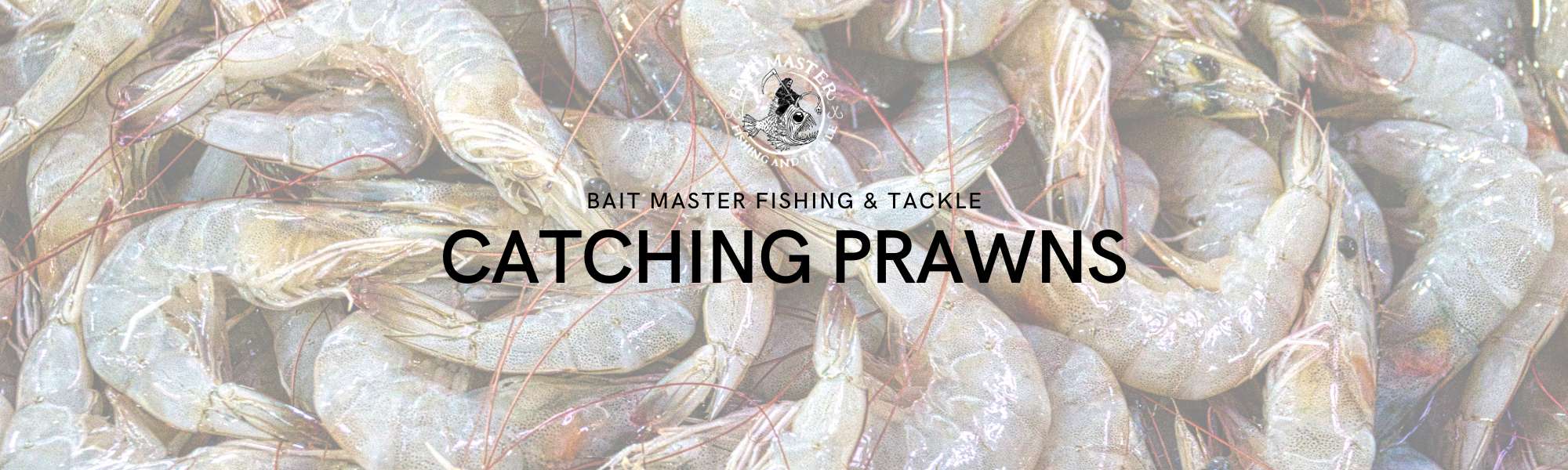Beginner's guide to catching prawns — Bait Master Fishing and Tackle