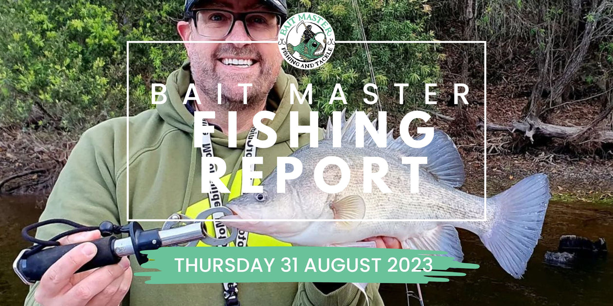 Sunshine Coast Fishing Report  Thursday 31 August 2023 — Bait