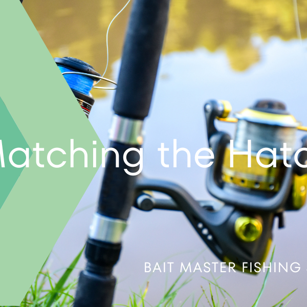 Mastering the Art of Matching the Hatch: An In-Depth Guide for Anglers