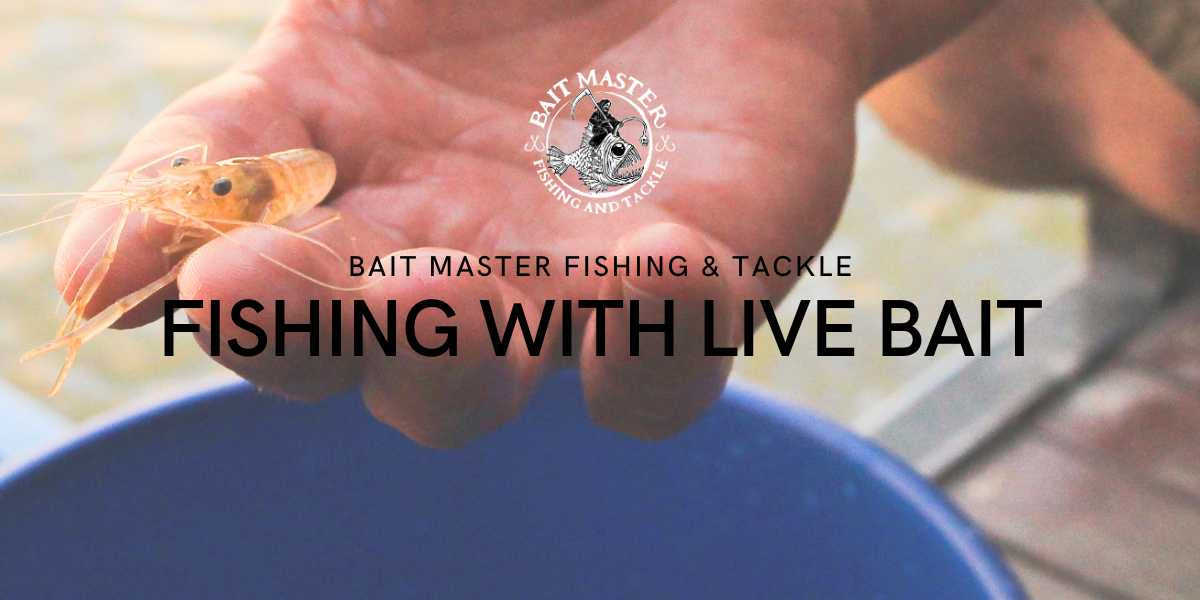 Fishing With Live Bait Bait Master Fishing and Tackle