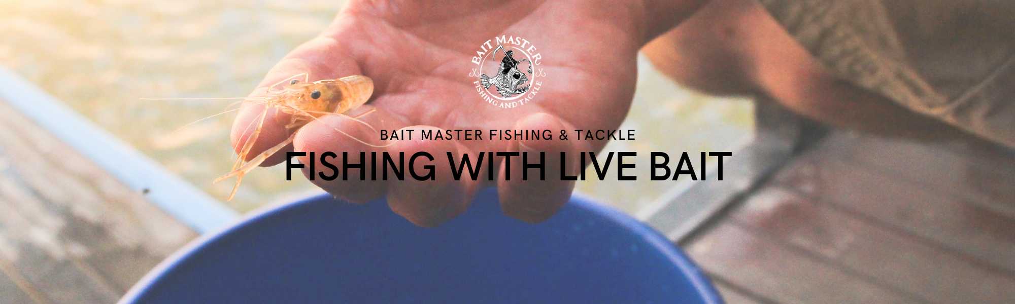 Fishing With Live Bait Bait Master Fishing and Tackle