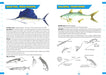 AFN Waterproof Queensland Fish Guide: Pocket-Size Edition