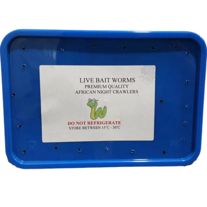 African Nightcrawlers Live Bait Worms - AVAILABLE INSTORE ONLY