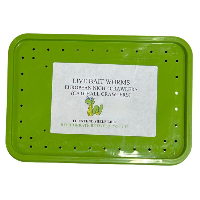 European Nightcrawlers Live Bait Worms - AVAILABLE INSTORE ONLY