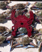 Crabba Crab Measuring Control Tool Queensland