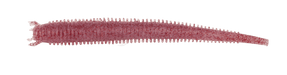 Berkley Gulp! Fat Hollow Sandworm 4" Lures