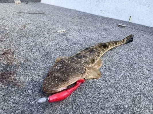 Lure Action 3.5" One Up Shad Soft Plastic Australian Made Lures