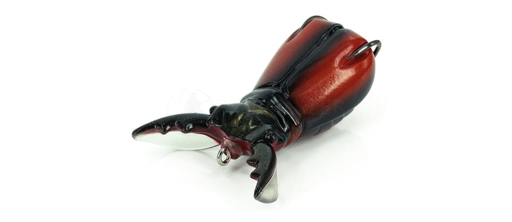 Molix Supernato Beetle Baby 50mm 5.5g Topwater Lure — Bait Master Fishing  and Tackle